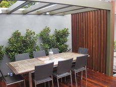 7ajoycestreetellwood2.jpg