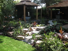 Assorted210709050.jpg