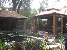 Assorted210709051.jpg